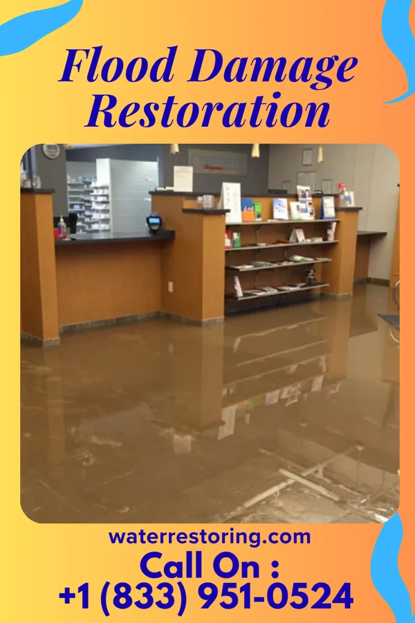 Flood Damage Restoration in Random Lake, WI