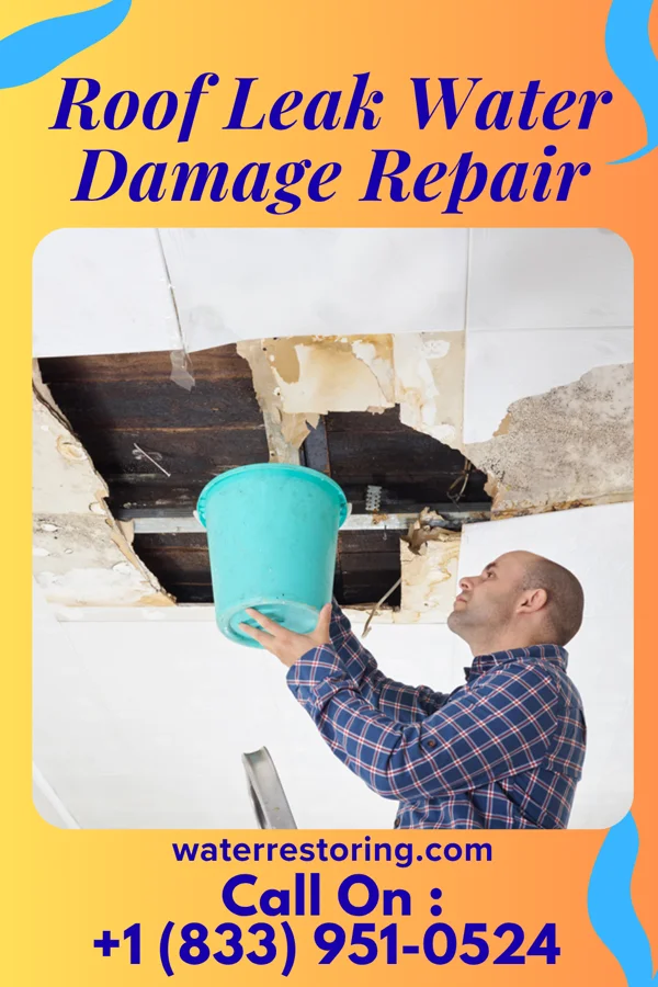 Roof Leak Water Damage Repair in Random Lake, WI