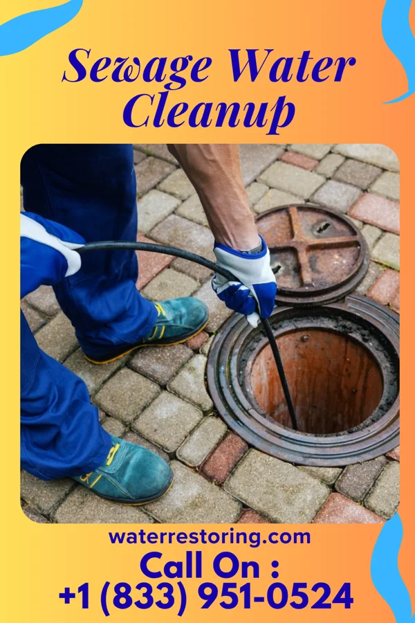 Sewage Water Cleanup in Random Lake, WI