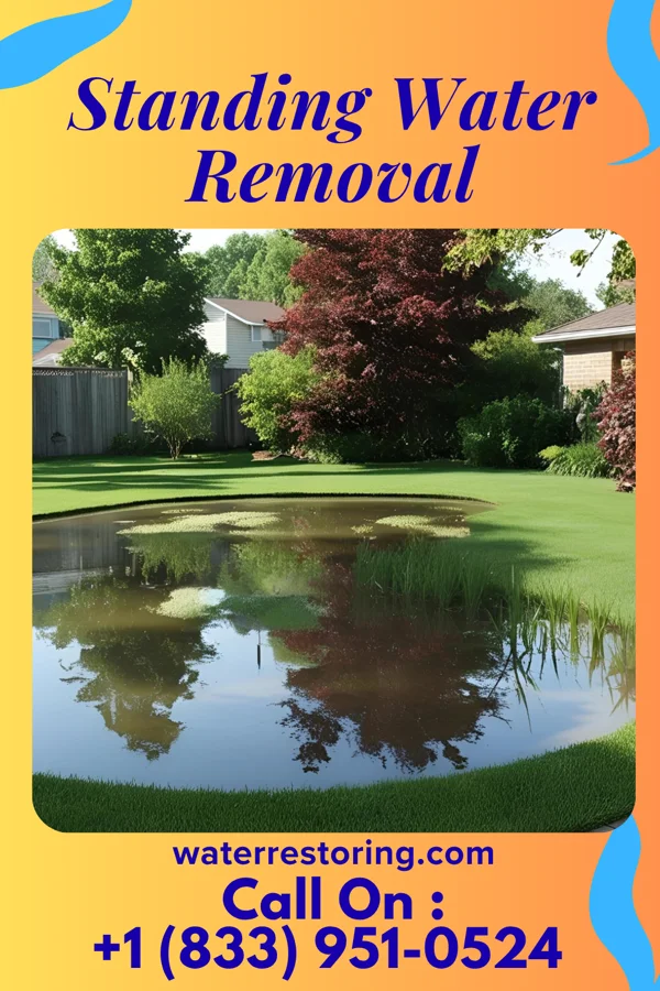 Standing Water Removal in Random Lake, WI